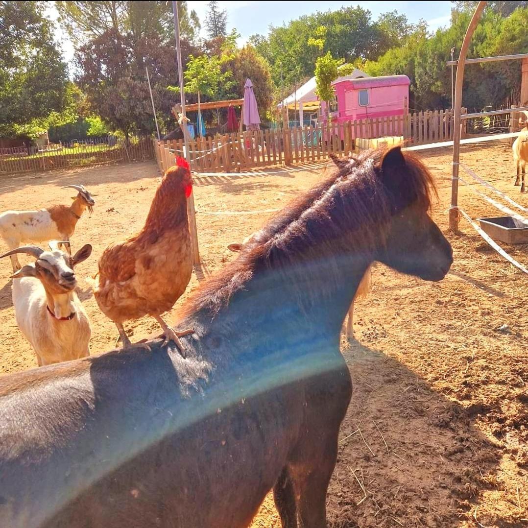 Sejour A La Ferme Villa Jouques Eksteriør billede
